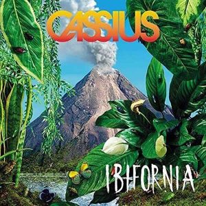 Cassius Ibifornia Plak
