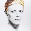 VA The Man Who Fell To Earth (Soundtrack) - Plak