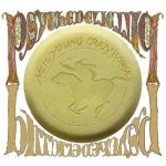 Neil Young Crazy Horse Psychedelic Pill - Plak
