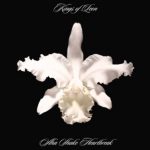 Kings Of Leon Aha Shake Heartbreak - Plak