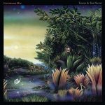 Fleetwood Mac Tango in The Night - Plak