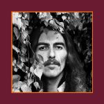 George Harrison The Vinyl Collection (Limited Edition - Remastered) - Plak
