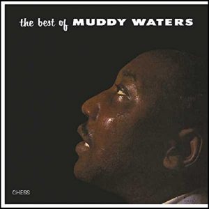 Muddy Waters The Best Of Muddy Waters Plak