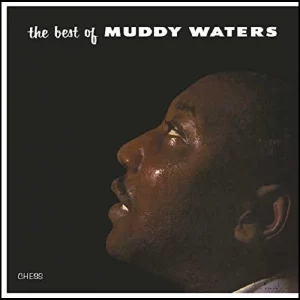 Muddy Waters The Best Of Muddy Waters Plak