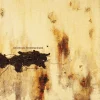 Nine Inch Nails The Downward Spiral (Limited Edition - Remastered) - Plak