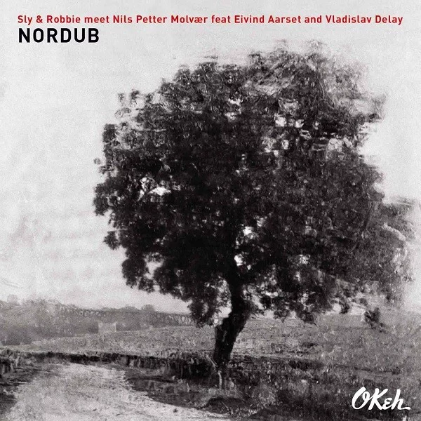 0001754974001-1.jpg Sly & Robbie Nordub - Plak - Görsel 1