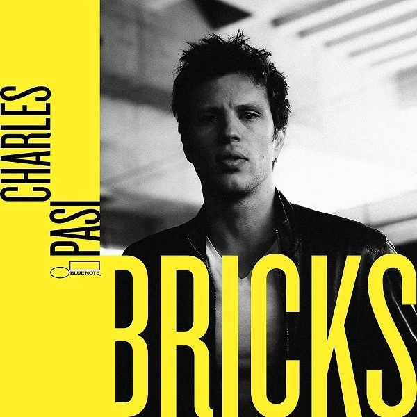 Charles Pasi Bricks Plak Charles Pasi Bricks Plak