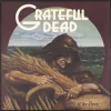 The Grateful Dead Wake Of The Flood - Plak