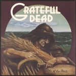 The Grateful Dead Wake Of The Flood - Plak