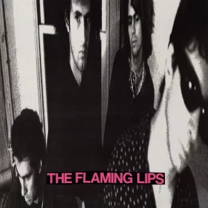 Flaming Lips In A Priest Driven Ambulance (Remastered) Plak