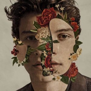 Shawn Mendes Plak