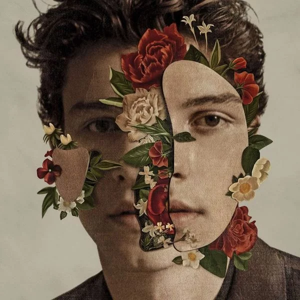 shawn-mendes-plak Shawn Mendes Plak