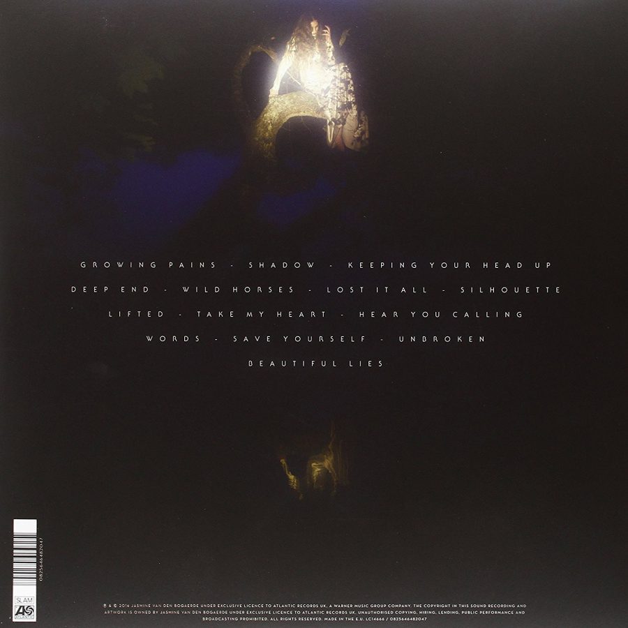 Birdy Beautiful Lies - Plak - Görsel 2