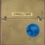 Bruce Springsteen Vinyl Collection Vol 2 Box Set 10 LP - Plak - Görsel 2