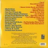Chuck Berry The Great Twenty Eight - Plak - Görsel 2