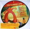 The Flaming Lips Yoshimi Battles The Pink Robot (Picture Disc) - Plak - Görsel 2