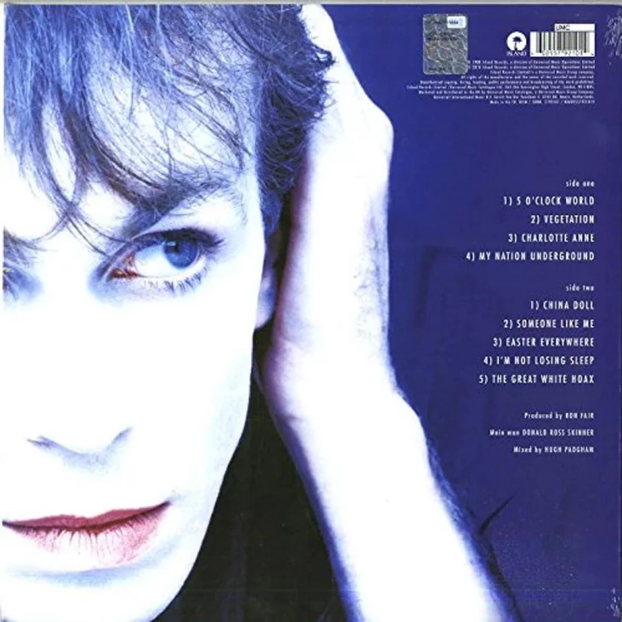 Julian Cope - My Nation Underground (Plak) - Görsel 2