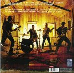 Nickelback Here And Now - Plak - Görsel 2