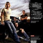 Nickelback All The Right Reasons - Plak - Görsel 2