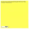 Pet Shop Boys Bilingual (2018 Remastered) - Plak - Görsel 2