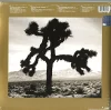 U2 Best Of 1980 - 1990 (Remastered) - Plak - Görsel 2