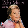 Zeki Müren Sükse Plak