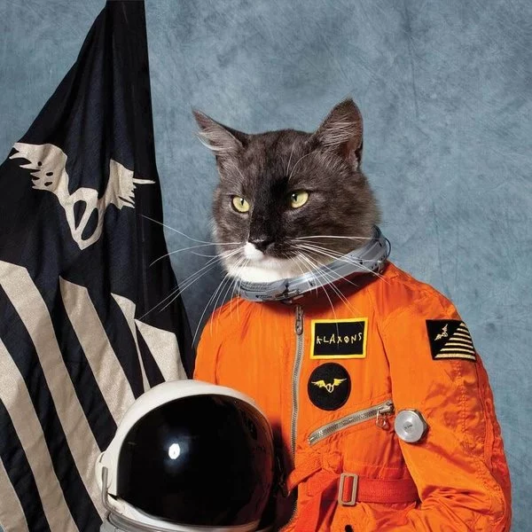 0001885450001-1.jpg Klaxons Surfing The Void (Orange Vinyl) - Plak - Görsel 1