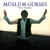 Müslüm Gürses Tanrı İstemezse - Plak