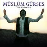 Müslüm Gürses Tanrı İstemezse - Plak
