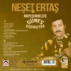 Neşet Ertaş Mapushanelere Güneş Doğmuyor - Plak