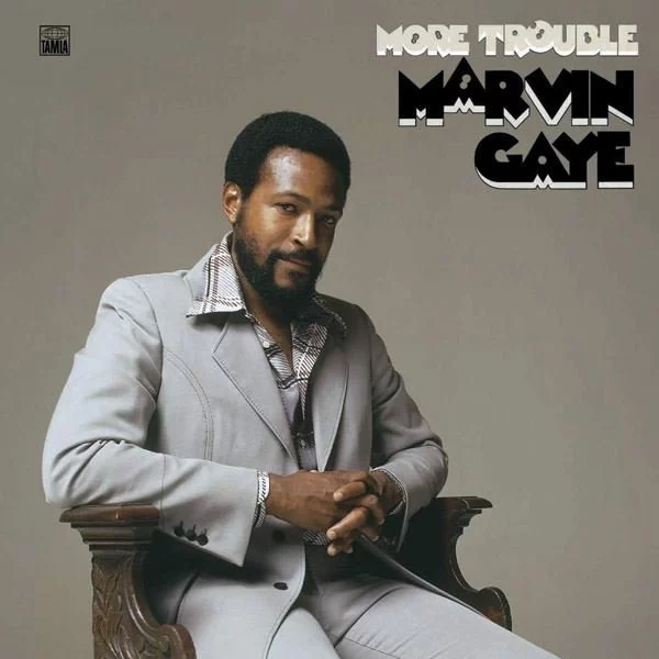 0001887449001-1.jpg Marvin Gaye More Trouble - Plak - Görsel 1
