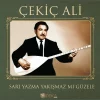 Çekiç Ali Sarı Yazma Yakışmaz mı Güzele Plak