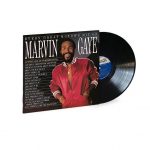 Marvin Gaye Every Great Motown Hit - Plak