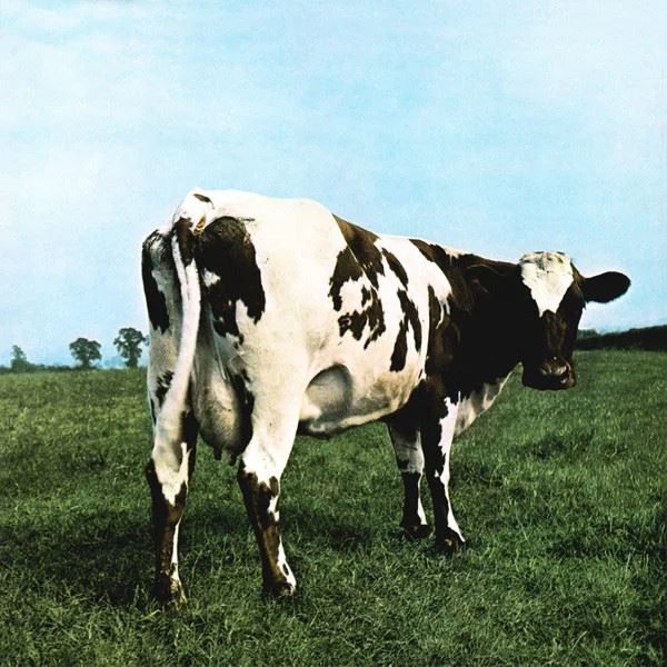 0000000715981-1.jpg Pink Floyd Atom Heart Mother (2016 Edition) - Plak - Görsel 1