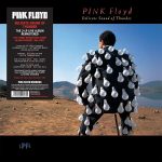 Pink Floyd Delicate Sound Of Thunder - Plak