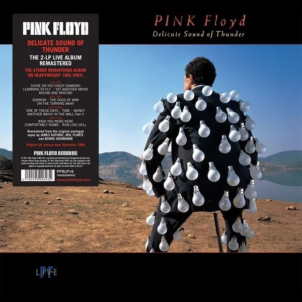 0001726527001-1.jpg Pink Floyd Delicate Sound Of Thunder - Plak - Görsel 1