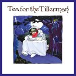 Cat Stevens Tea For The Tillerman 2 - Plak