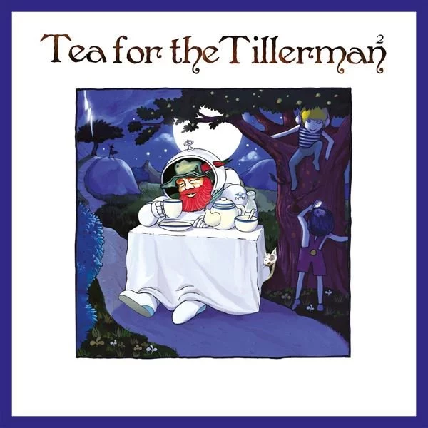 0001895720001-1.jpg Cat Stevens Tea For The Tillerman 2 - Plak - Görsel 1