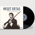 Neşet Ertaş Bozkırın Tezenisi 3 Plak