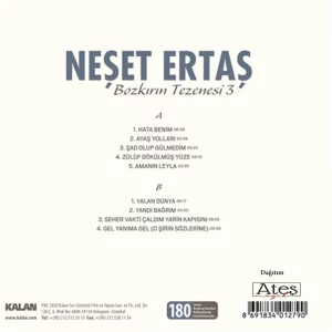 Neşet Ertaş Bozkırın Tezenisi 3 Plak