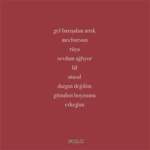 Sertab Erener Ah Şişede Lal - Plak