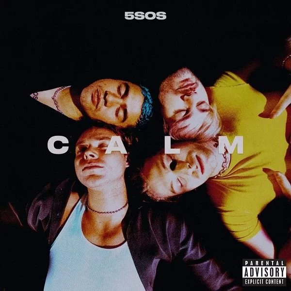 0001892447001-1.jpg 5 Seconds Of Summer Calm (Ashton Remix Track-Picture Disc) - Plak - Görsel 1