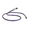 QED QE-3320 Reference Optical Quartz Kablo / 2 Metre