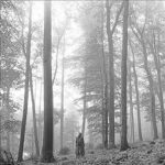 Taylor Swift Folklore - Plak