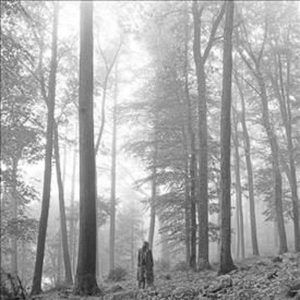 Taylor Swift Folklore - Plak