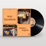Neşe Karaböcek Dünden Bugüne - Plak