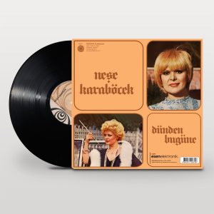 Neşe Karaböcek Dünden Bugüne - Plak
