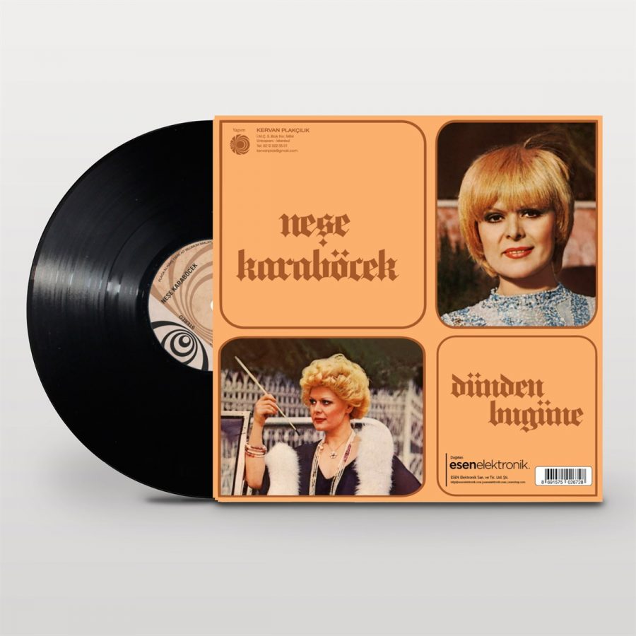 Neşe Karaböcek Dünden Bugüne - Plak