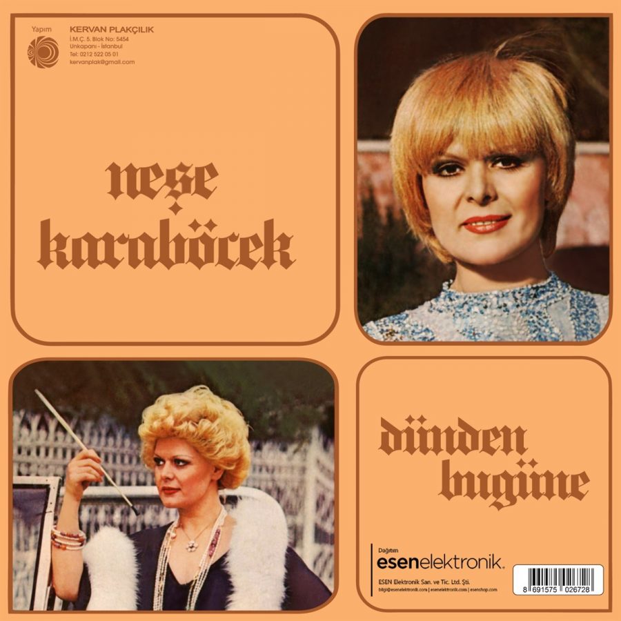 Neşe Karaböcek Dünden Bugüne - Plak