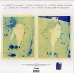 PJ Harvey Is This Desire? - Demos - Plak - Görsel 2